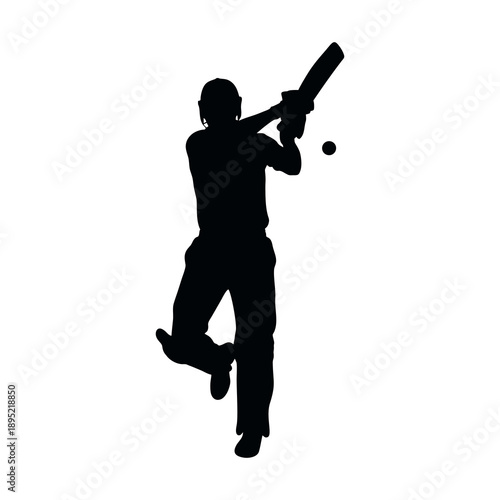 Vector silhouette of a man playing cricket with a white background