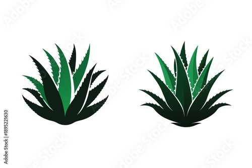 Aloe Vera Plant Silhouette Icon Vector Illustration Medicinal Succulent Plants 
