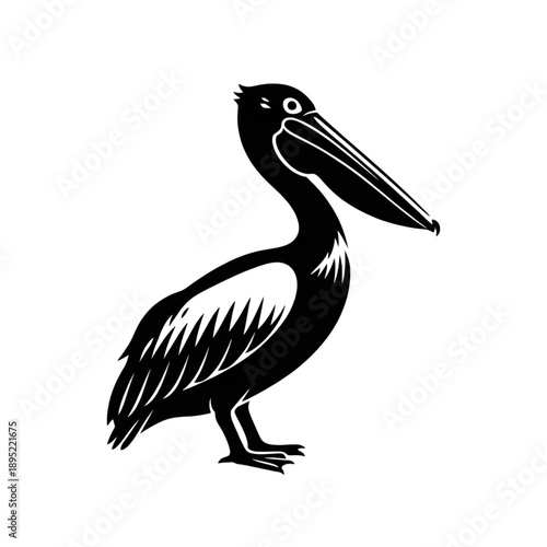 pelican bird silhouette standing water bird coastal wildlife vector illustration