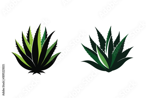 Aloe Vera Plant Silhouette Icon Vector Illustration Medicinal Succulent Plants 