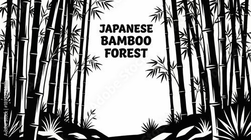 Japanese bamboo forests black and white vector illustration featuring tall bamboo stalks and minimal undergrowth typical to East Asian ecosystems