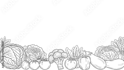 Outline drawing of fresh vegetables with cabbage, tomatoes, broccoli, and peppers