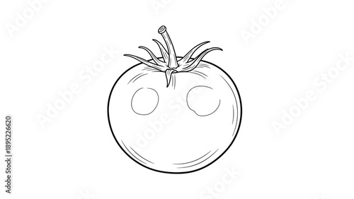 Detailed tomato drawing with outlined style on white background