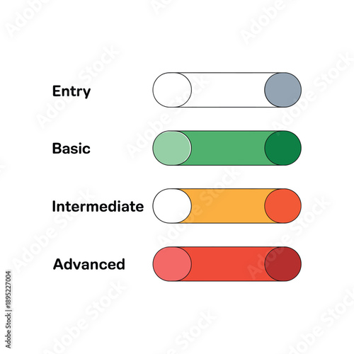Progress bars illustrating skill levels entry basic intermediate and advanced