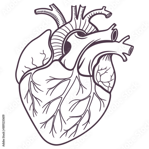 Abstract heart symbol composed of smooth, transparent glass layers, modern vector art