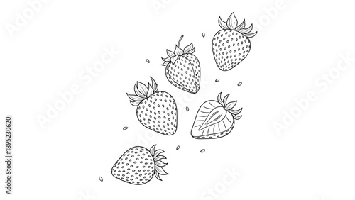 Hand drawn strawberries with seeds in black and white outline art style