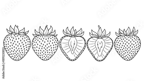 Detailed strawberry outline: creative set of whole and sliced fruits in black and white
