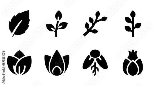 Silhouette collection of botanical icons with leaves and buds