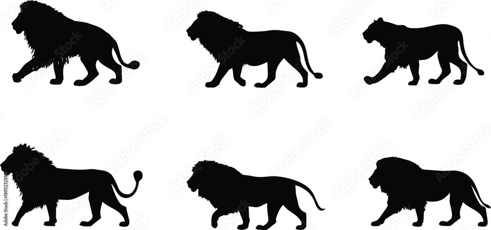 Obraz premium Silhouette of lion walking in six dynamic poses isolated on white background minimalist art design 