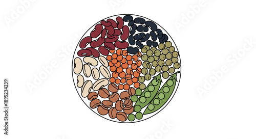 Vector graphic illustration of various pulses and nuts arranged in a circular pattern, celebrating World Pulses Day with a colorful display of healthy food options.