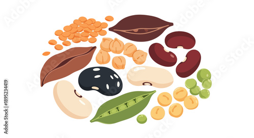 Vector graphic illustration of various nuts and pulses for World Pulses Day, showcasing healthy food options like peanuts, beans, and soybeans in a circular composition against a clean