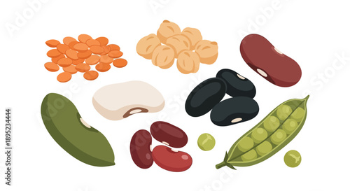 Vector graphic illustration of various healthy food pulses and nuts on a clean white background for World Pulses Day, showcasing beans, peanuts, and soybeans.