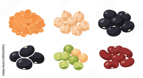 Vector illustration of various healthy food pulses, including peanuts, beans, almonds, and soybeans, for World Pulses Day, showcasing nutrition and nutrition on a clean background.