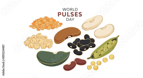 Vector illustration for World Pulses Day featuring various healthy food icons including peanuts, beans, and soybeans on a clean white background.