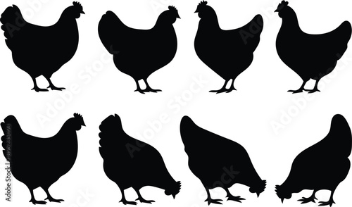 Collection of eight diverse black chicken silhouettes in various poses isolated on a clean white background