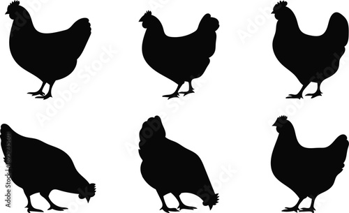 Collection of diverse black chicken silhouettes in various poses on a clean white background