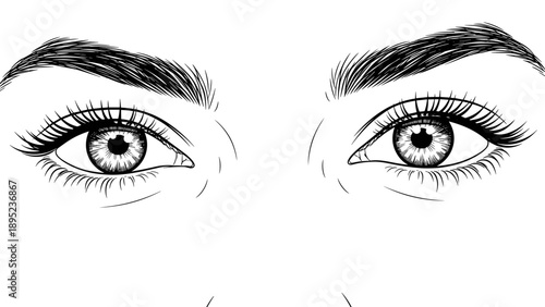 Detailed black and white eye drawing with eyebrows on white background