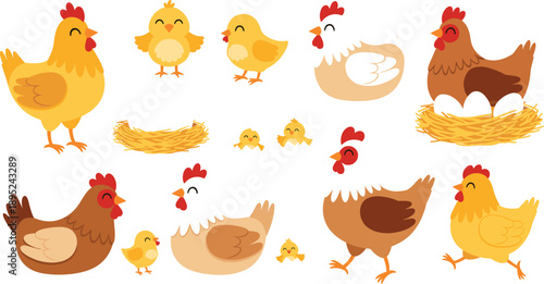 Chicken hen rooster and chick illustration set with nests farm poultry animals