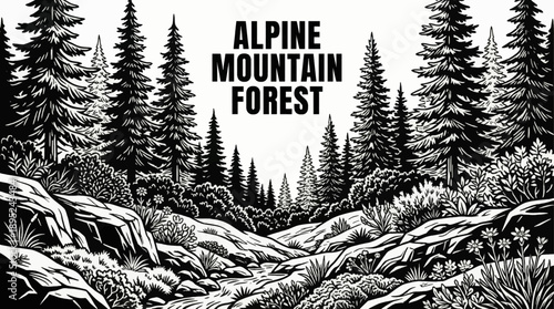alpine forest regions featuring pine trees, shrubs, rocky terrain vegetation, and mountain ecosystem plants black and white vector illustration