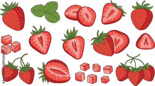 Strawberry fruit illustration set with whole sliced halves cubes and fresh berry elements