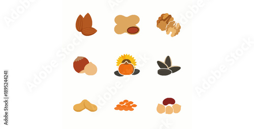 Flat nuts seeds and beans icon set vector illustration