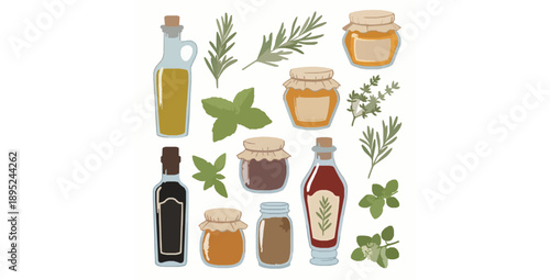 Organic condiments and herbs vector elements collection