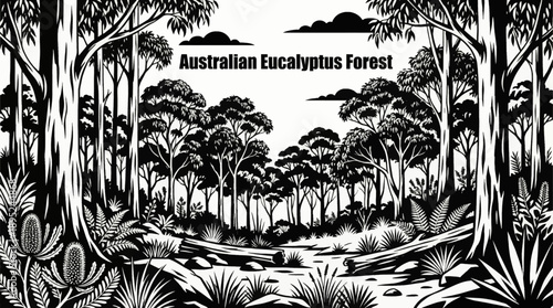Australian eucalyptus forests black and white vector illustration with native vegetation and bushland ecosystem plants