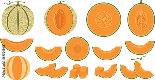Cantaloupe melon illustration set with whole sliced wedges cubes and cross sections isolated
