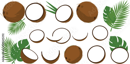 Set of coconut illustrations with whole cracked halves slices and tropical leaves vector icons isolated