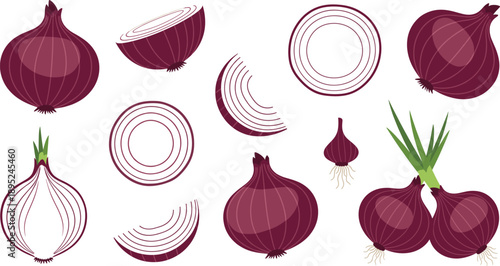 Red onion illustration set with whole sliced rings halves and vegetable elements isolated