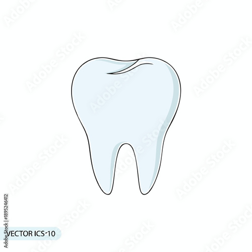 Illustration of a Healthy Tooth for Dental Care and Hygiene