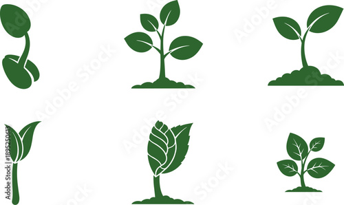 Collection of green plant growth stages icons, from seed to sapling