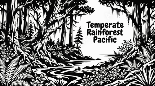 temperate rainforests featuring moss covered trees, ferns, and coastal black and white vector illustration vegetation ecosystems