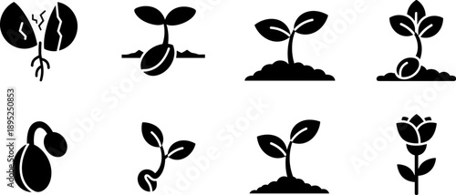 Set of icons depicting plant growth stages from seed to flower