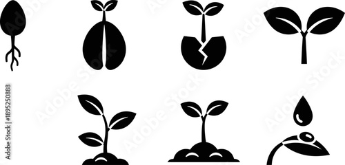 Stages of plant growth from seed to sprout, illustrated as icons