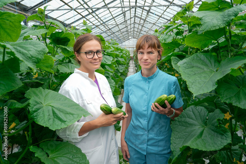 Two women workers smile while holding freshly harvested green cucumbers. They stand between tall rows of lush cucumber plants within a large, modern greenhouse, showcasing a successful cultivation.