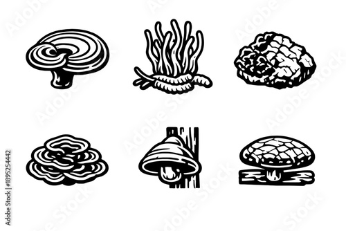 Nature and fungi icon set. Containing mushroom, plant, spore, growth, environment, decay, forest, ecology and more.