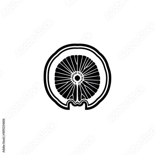 Black and white illustration of a citrus fruit slice.