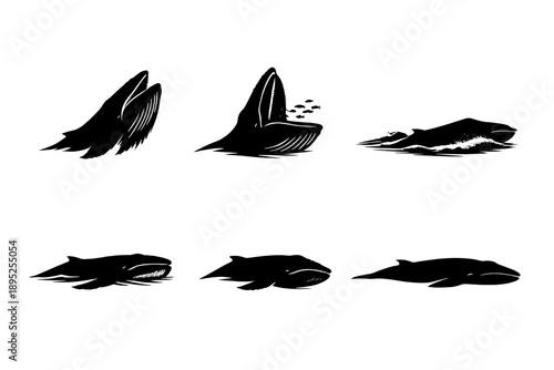 Marine Life Icon Set: Containing whale, fish, coral, ocean, sea, wave, shell, starfish, dolphin, reef, turtle, anchor, kayak, seaweed, jellyfish,