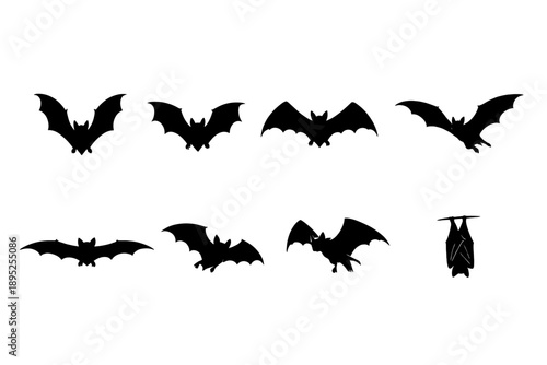 Animal icon set. Containing bat, wildlife, nocturnal, flight, mammal, dark, predator, echolocation, wings, shadows, nature, creatures, environment,