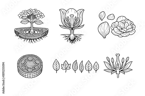 Floral and botanical icon set. Featuring flower, leaf, petal, plant, bud, blossom, garden, nature, growth, bloom, stem, branch, seed, thorn, foliage,