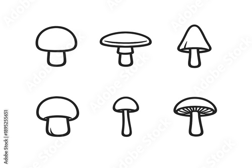 Mushroom and fungi icon set. Featuring species, growth, nature, agriculture, forest, edible, poisonous, ecology, and more.