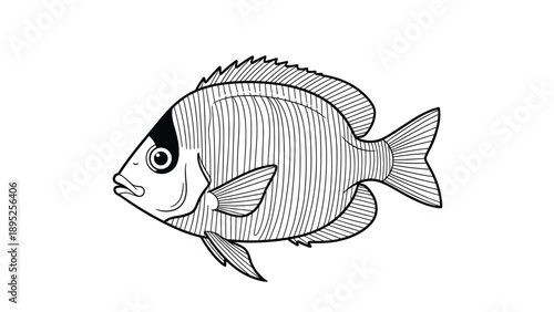 Detailed black and white line art illustration of a tropical fish showing scales and fins on a clean white background.