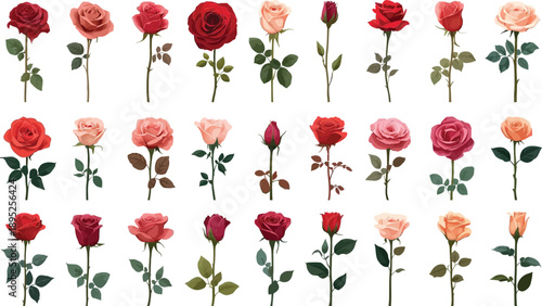 Seamless red roses floral pattern on white background