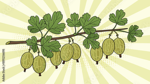 Branch of ripe gooseberries with green leaves shown in a retro pop art style against a sunburst ray background.