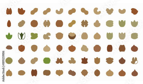 100 Nut Icons Set in Color Line Style with Thin Stroke Vector Illustration