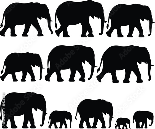 Elephant silhouette icon set showing walking poses and family group, African wildlife mammals, black white vector illustration collection