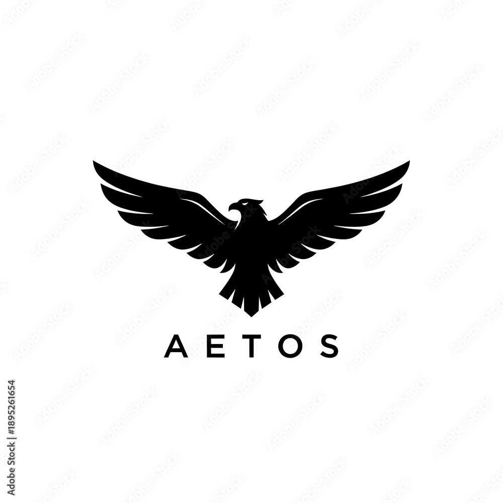 Obraz premium A dramatic eagle spreads its wings in a dark and mysterious landscape