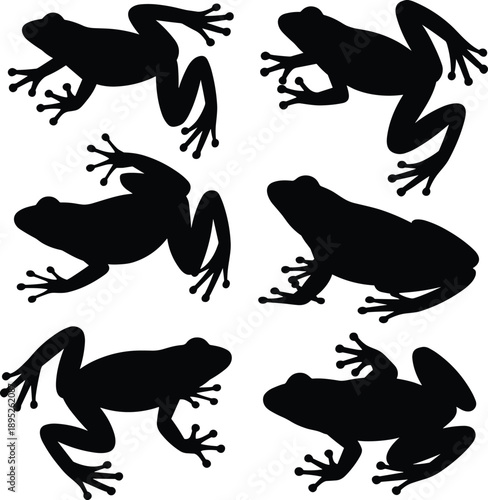 Frog silhouette icon set in various poses, amphibian wildlife symbols, black white vector illustration collection for nature design concepts