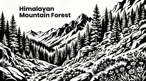 Himalayan forests black and white vector illustration with mountain conifers and high altitude vegetation species